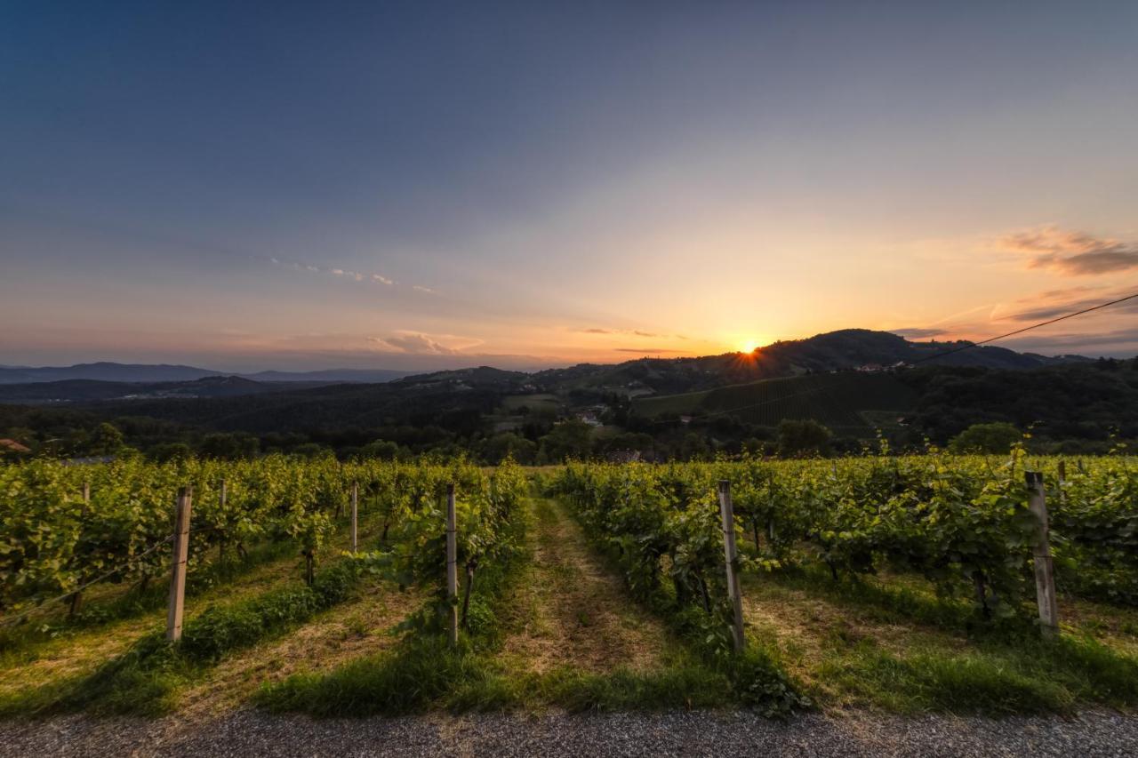 Pensjonat Weingut Reiterer