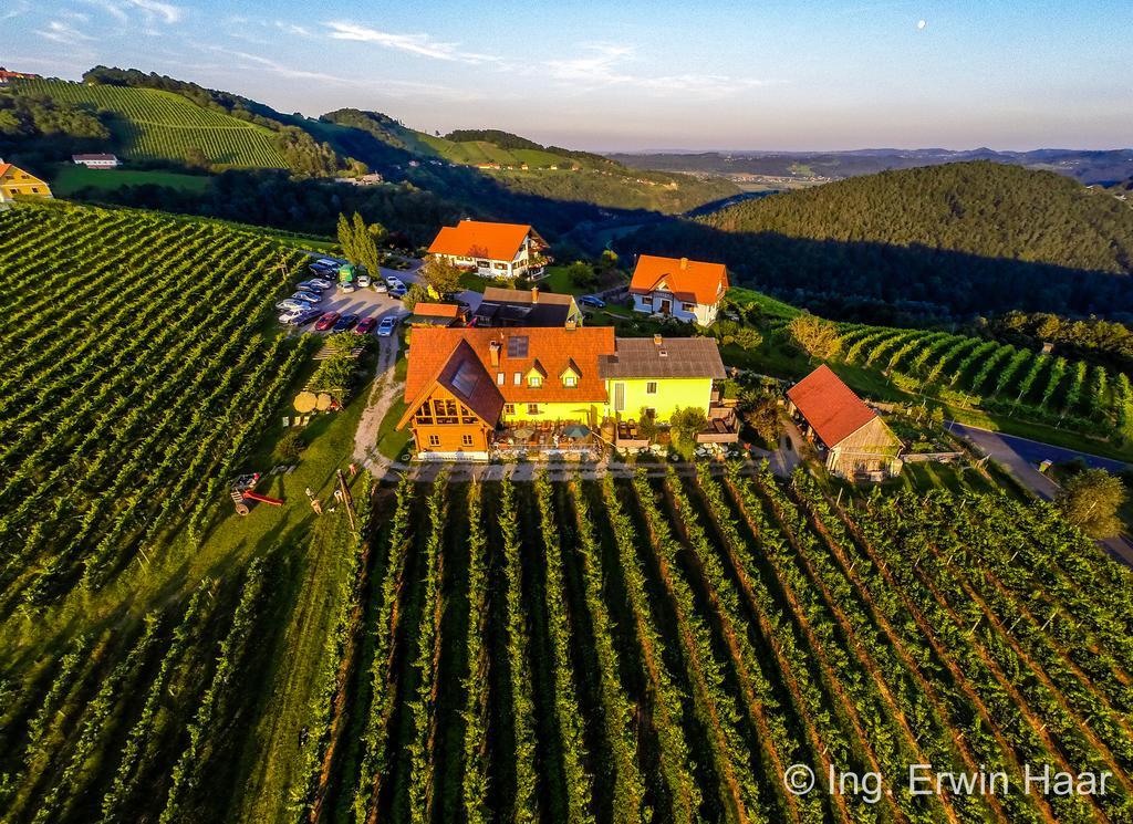 Guest house Weingut Reiterer